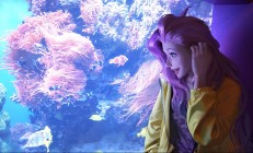 孤胆佣兵如何利用不同技能进行有效组合